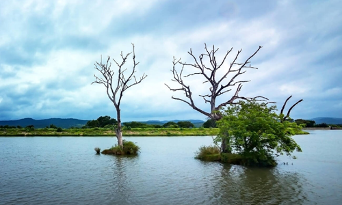 Choral Dam